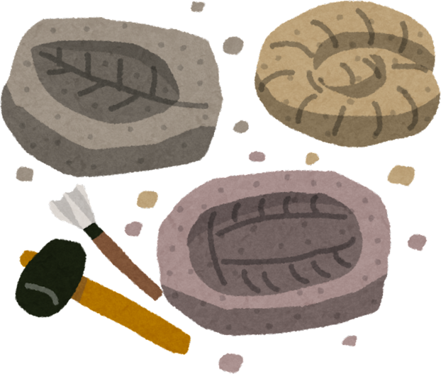 Watercolor Illustration of Excavated Fossils